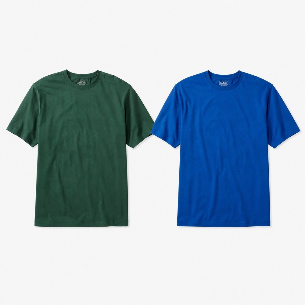 L.L.Bean Carefree Unshrinkable T Shirts Lot 2 Men's XL Blue Green 100% Cotton